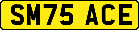 SM75ACE
