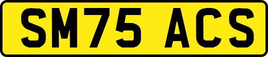 SM75ACS