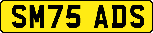 SM75ADS