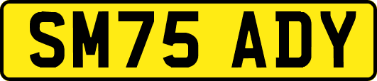 SM75ADY