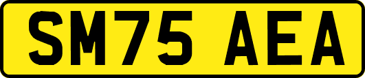 SM75AEA