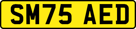 SM75AED