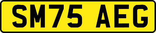 SM75AEG