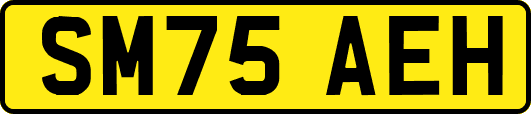 SM75AEH