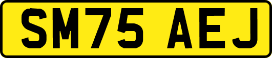 SM75AEJ