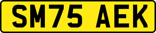 SM75AEK
