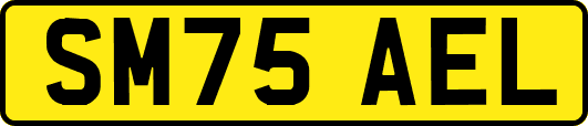 SM75AEL