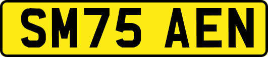SM75AEN