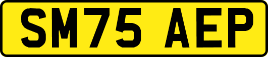 SM75AEP