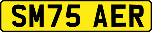 SM75AER