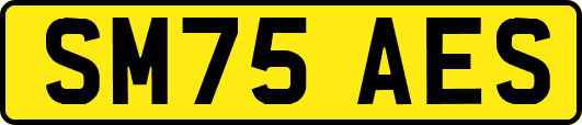 SM75AES