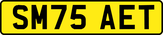 SM75AET