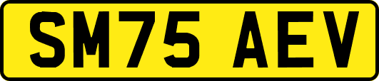 SM75AEV