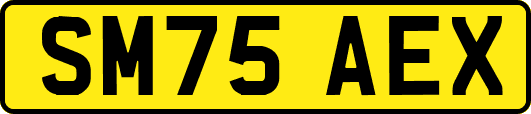 SM75AEX
