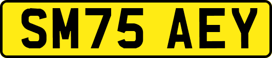 SM75AEY