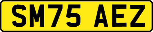 SM75AEZ