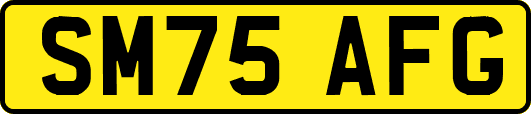 SM75AFG