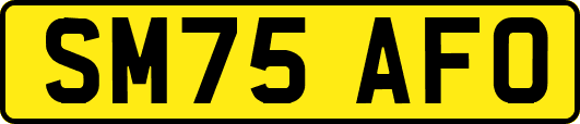SM75AFO