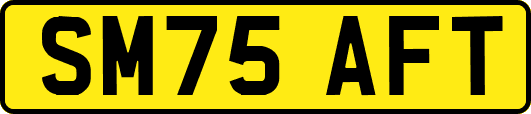 SM75AFT