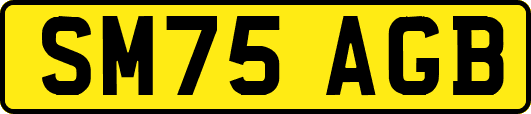 SM75AGB