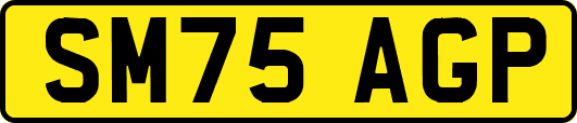 SM75AGP