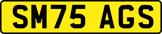 SM75AGS