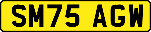 SM75AGW