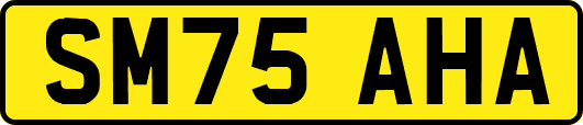 SM75AHA