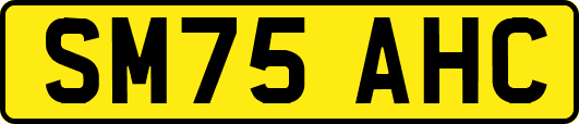 SM75AHC