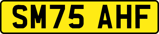 SM75AHF