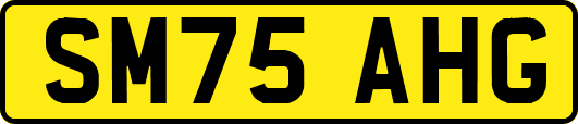 SM75AHG