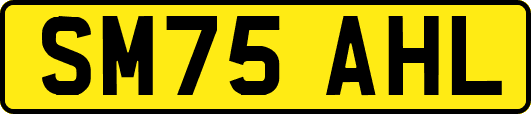 SM75AHL
