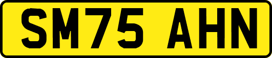 SM75AHN