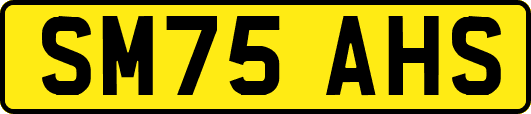 SM75AHS