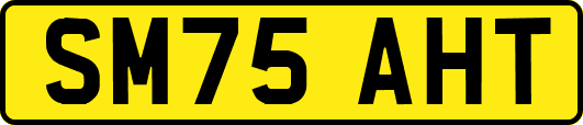 SM75AHT
