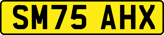 SM75AHX