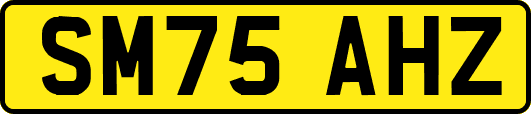 SM75AHZ