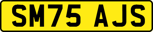 SM75AJS