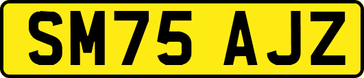 SM75AJZ