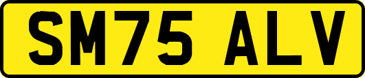 SM75ALV