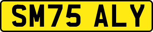 SM75ALY
