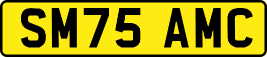 SM75AMC