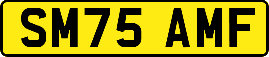 SM75AMF