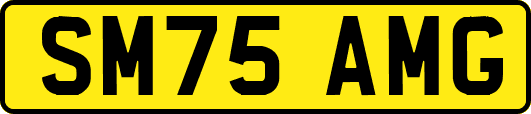 SM75AMG