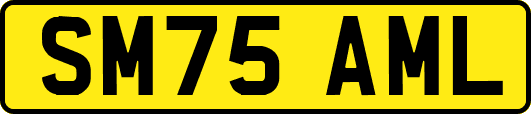 SM75AML