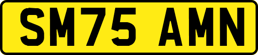 SM75AMN