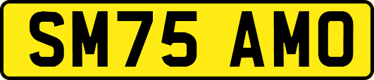 SM75AMO