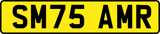 SM75AMR