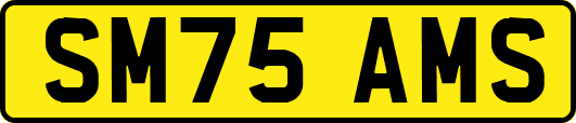 SM75AMS