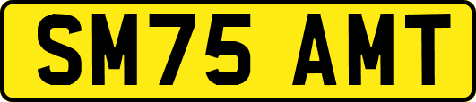 SM75AMT